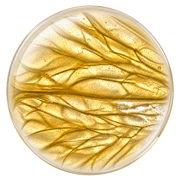 VITAMIN C DERIVATIVE