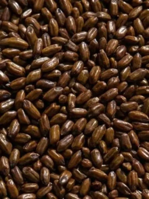 Cassia Angustifolia Seed Polysaccharide